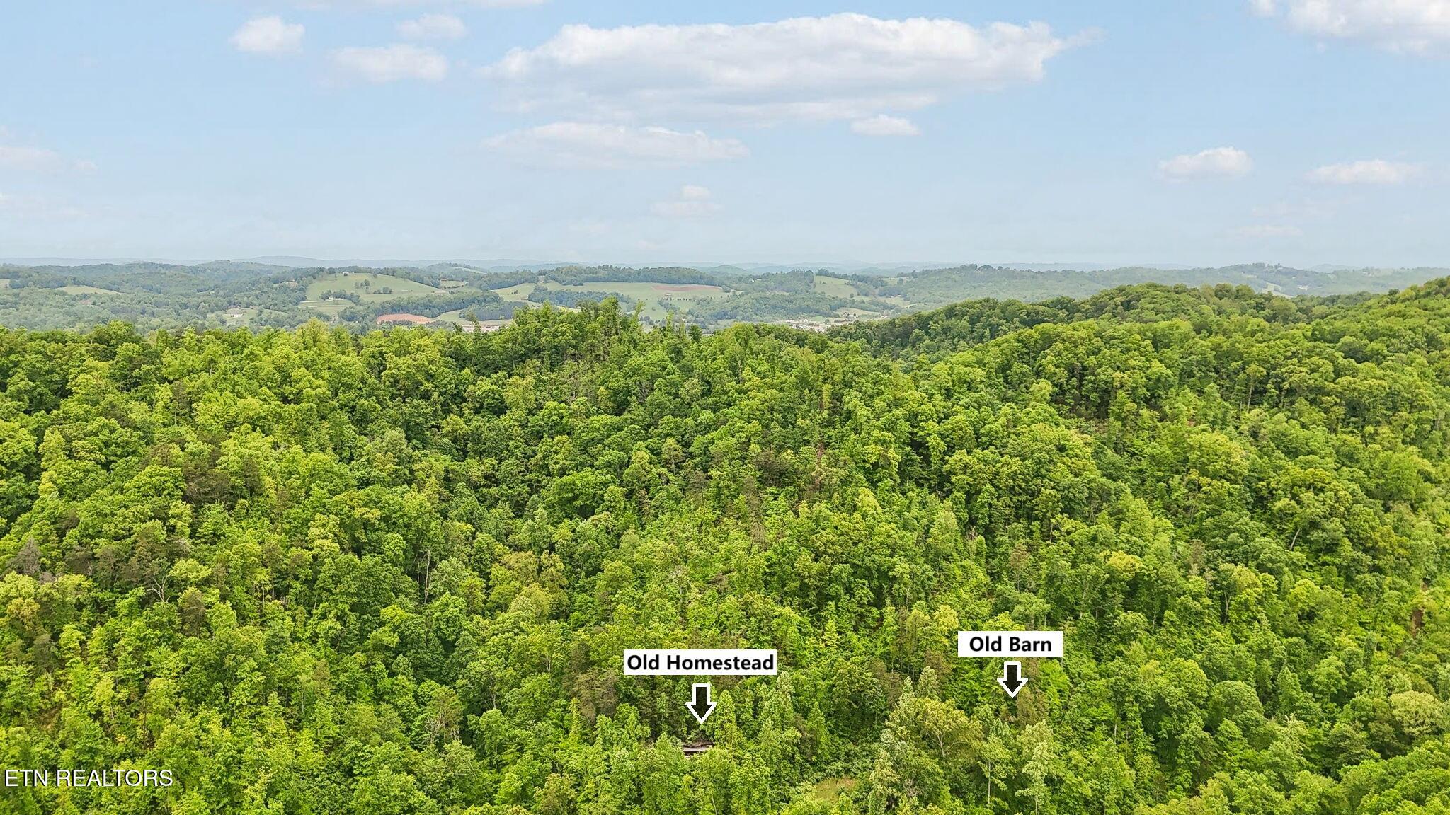 201 Birch Hollow Road Maynardville, TN 37807 - Photo 7 of 11 201 BIRCH HOLLOW RD