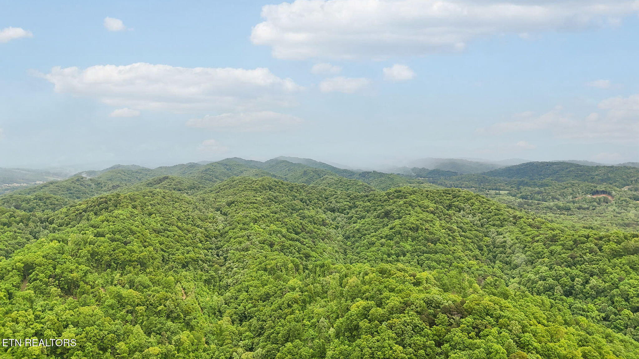 201 Birch Hollow Road Maynardville, TN 37807 - Photo 9 of 11 201 BIRCH HOLLOW RD