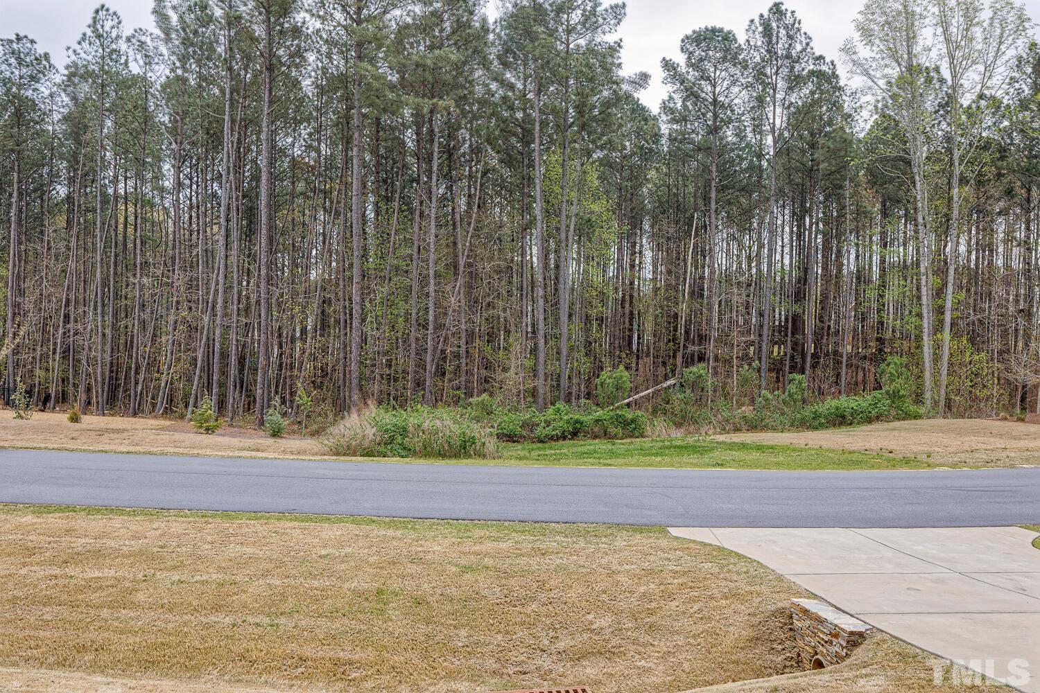 1125 Barley Stone Way Raleigh, NC 27603 - Photo 7 of 89 Great View From the Front Porch!