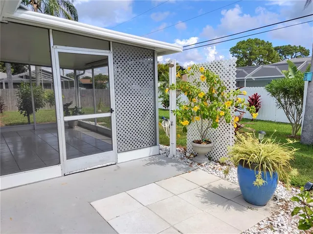 a potted plant sitting in front of a window