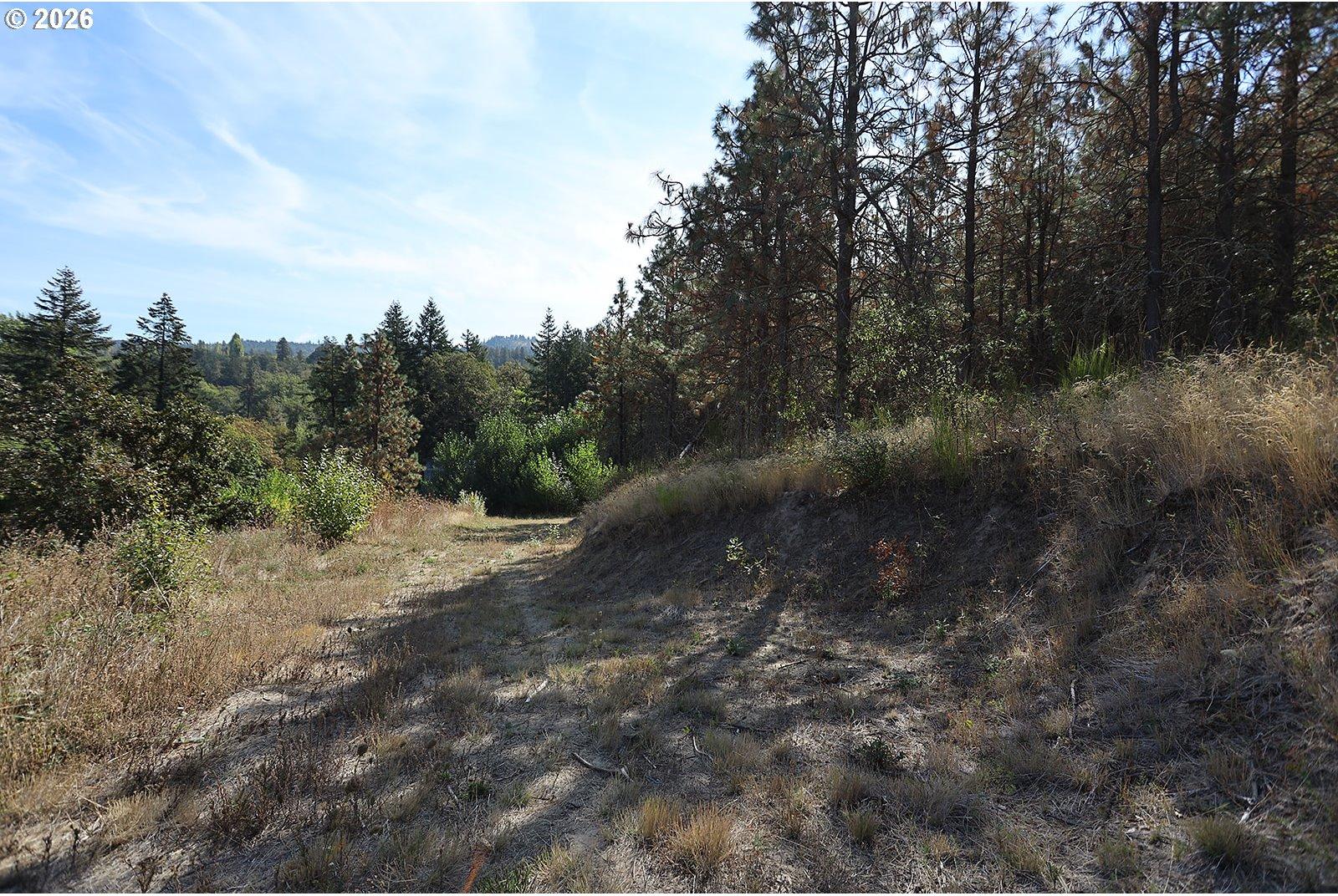 1250 Dry Creek Road Mosier, OR 97040 - Photo 18 of 42 Gallery Image 18