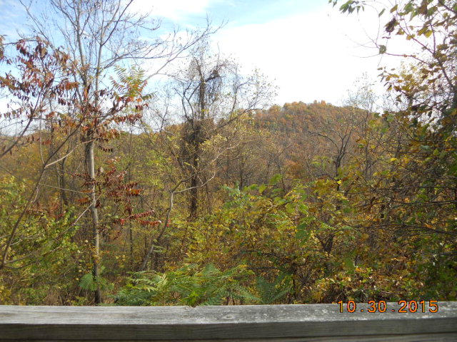 483 Griffith Hill Road Ferrum, VA 24088 - Photo 16 of 17 a view of a yard from a window