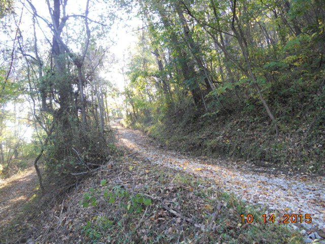 483 Griffith Hill Road Ferrum, VA 24088 - Photo 9 of 17 a view of a forest with trees in the background