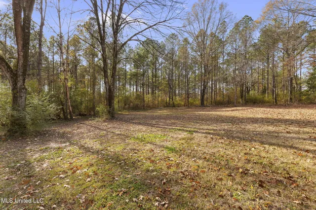 $265,000 | 30477 Attala Highway 19, West, MS 39192