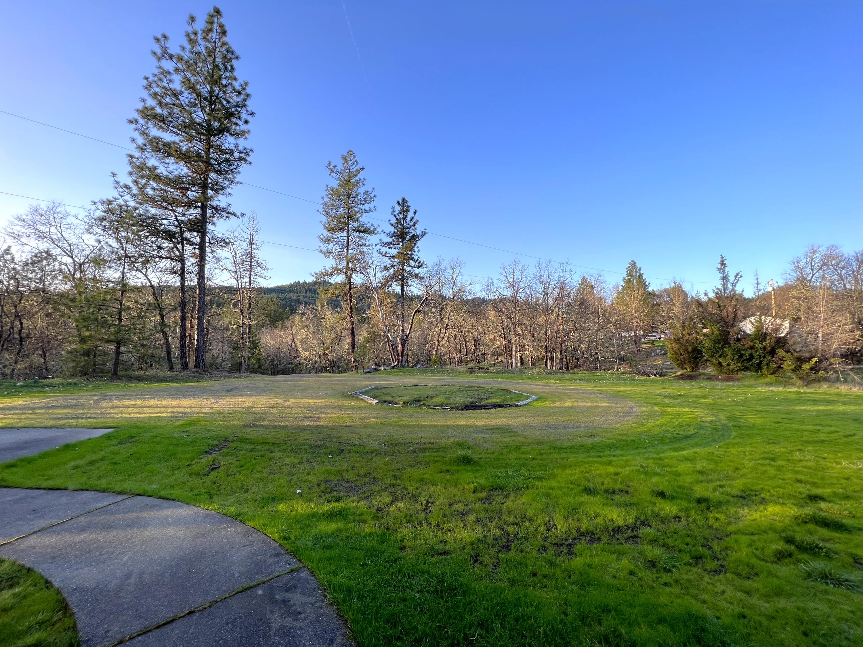 5525 Tunnel Loop Road Grants Pass, OR 97526 - Photo 46 of 65 38. Property front landscape