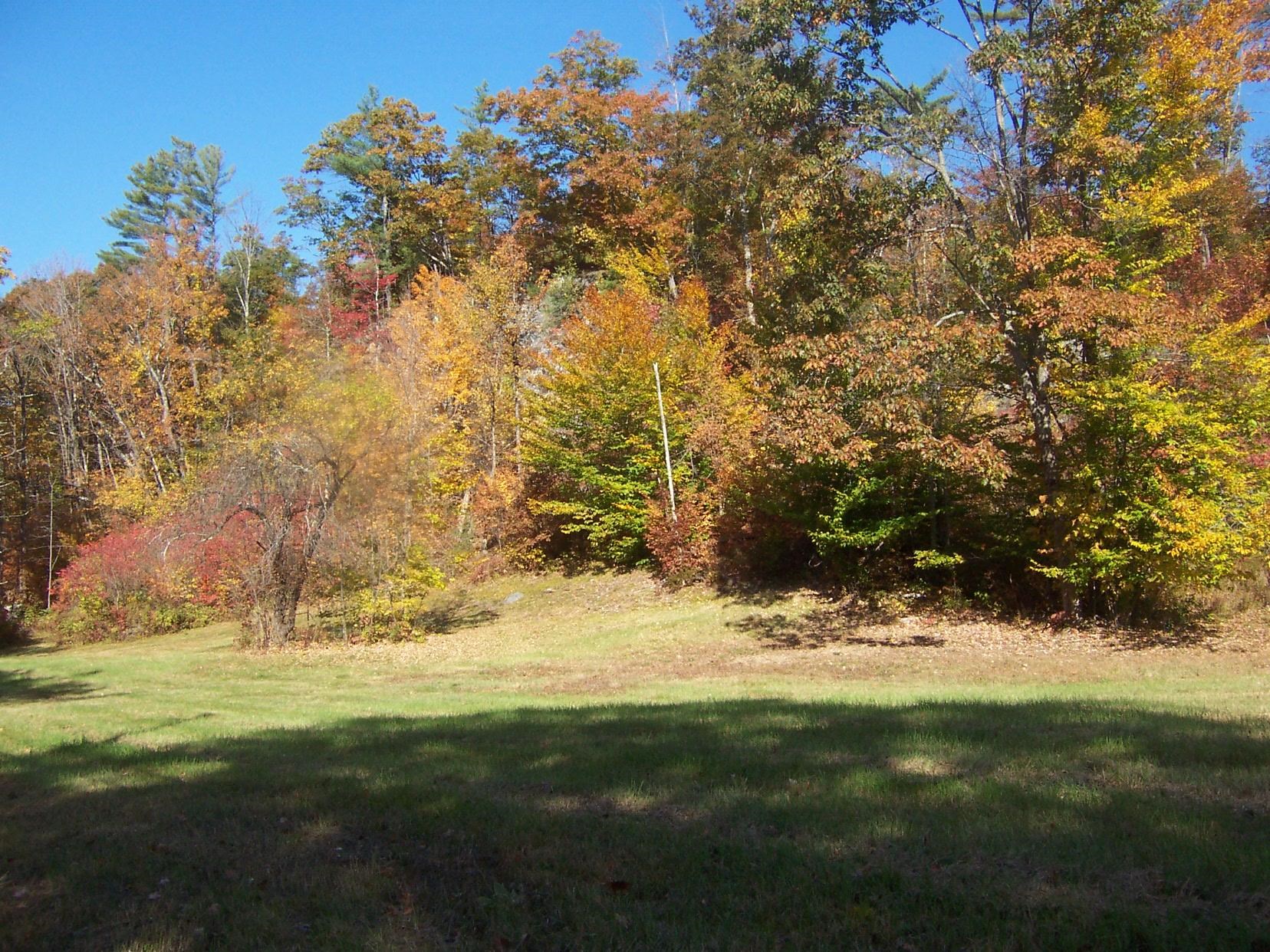 Turner Road, Unit 9A Wentworth, NH 03282 - Photo 12 of 16