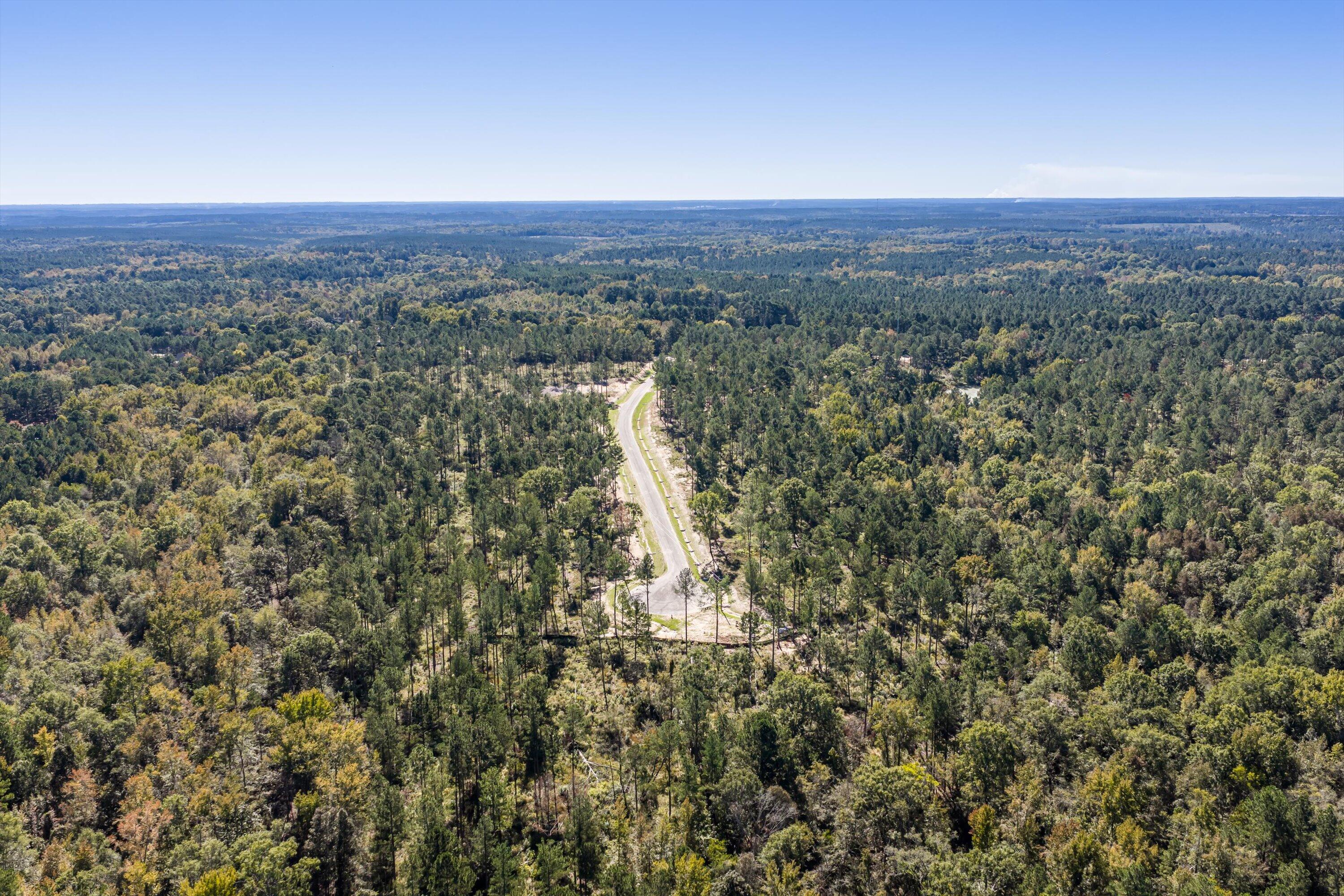 166 Beagle Chase Drive Appling, GA 30802 - Photo 4 of 6 03-all_2