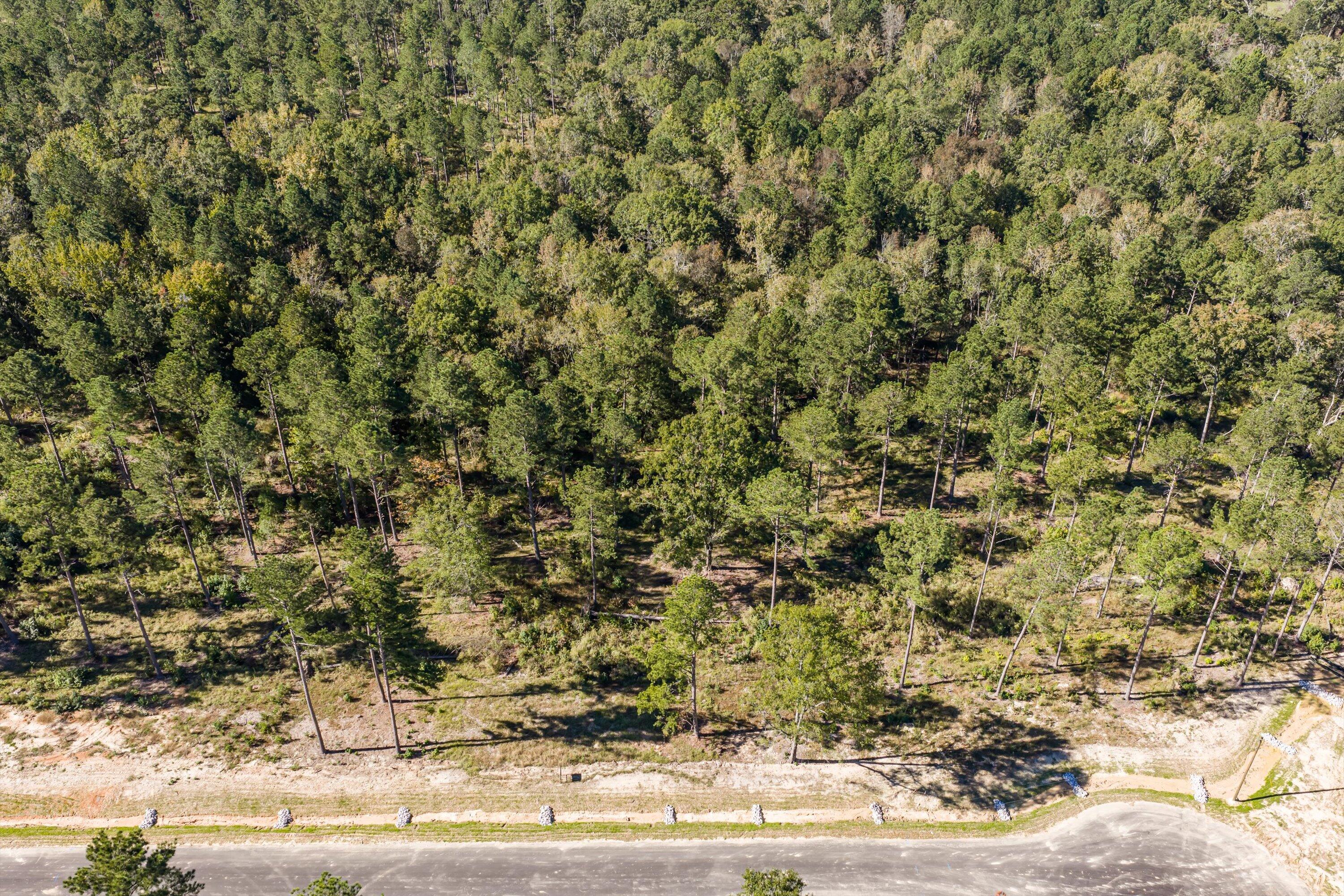 166 Beagle Chase Drive Appling, GA 30802 - Photo 6 of 6 20-Lot11_2