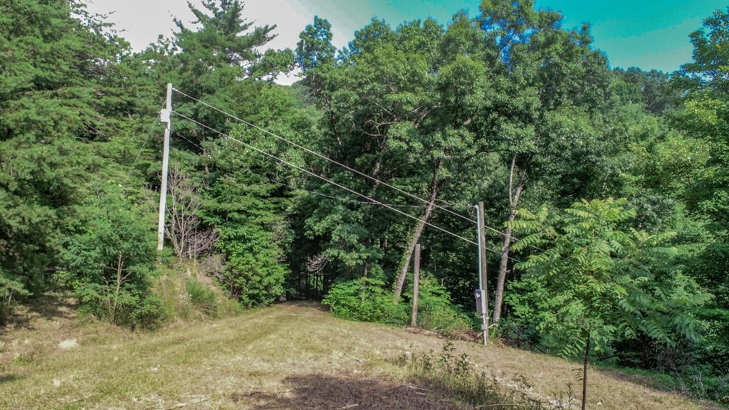 1634 Green Corner Road Hartford, TN 37753 - Photo 14 of 40 Gallery Image 14