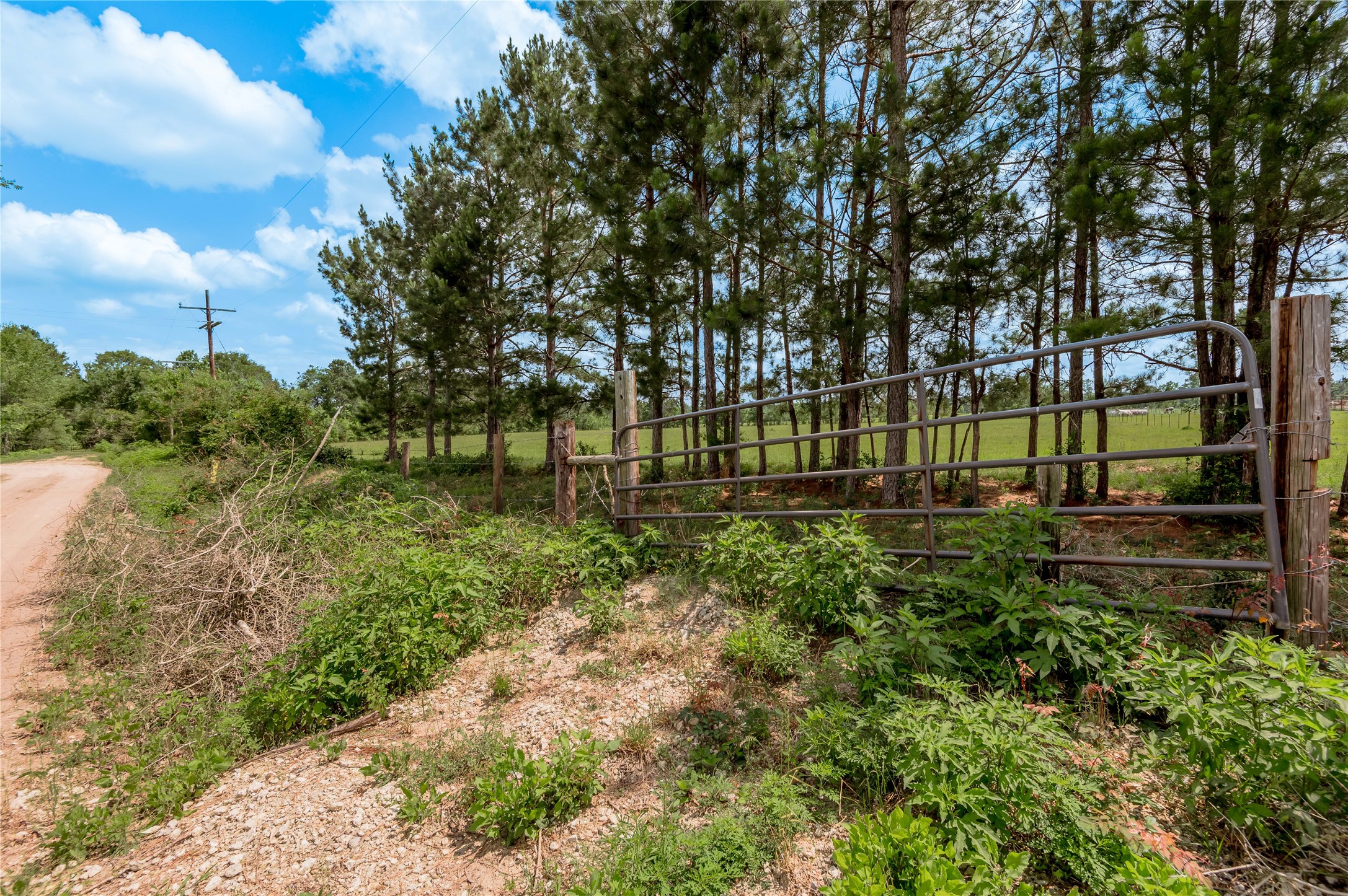 Tbd Turner Street Groveton, TX 75845 - Photo 10 of 10