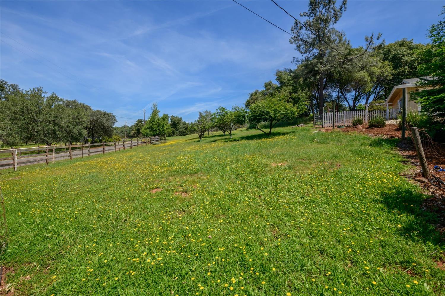 1601 Velvet Horn Lane Rescue, CA 95672 - Photo 49 of 71