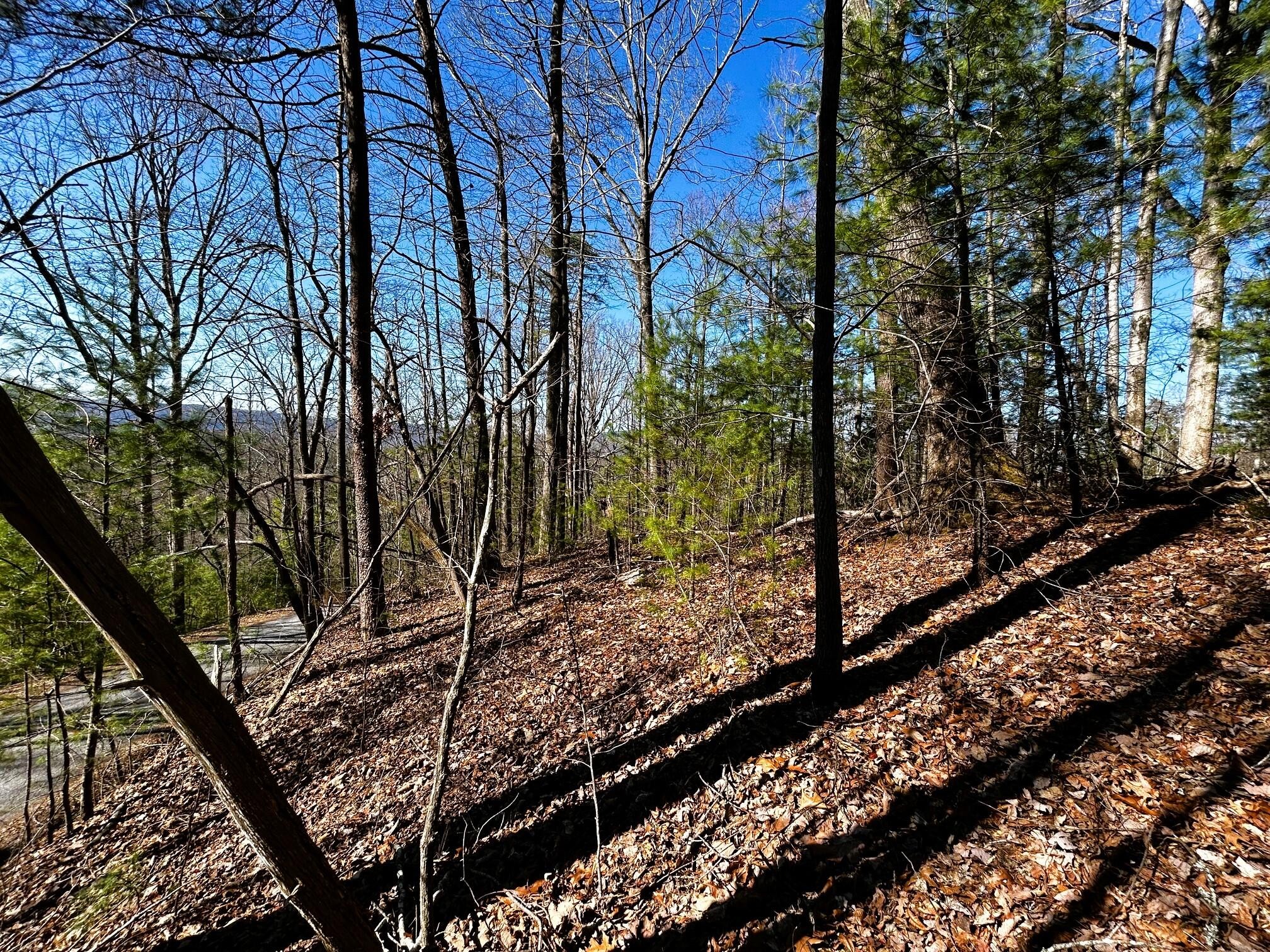 107125 Chestnut Mountain Road Reliance, TN 37369 - Photo 22 of 32