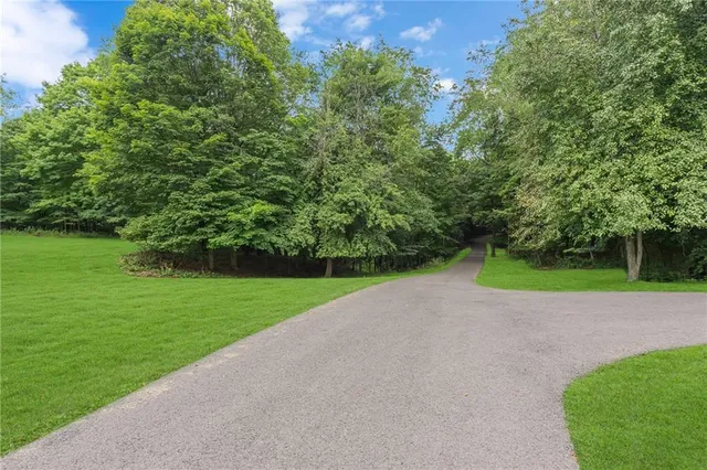 a view of a field and trees in the background