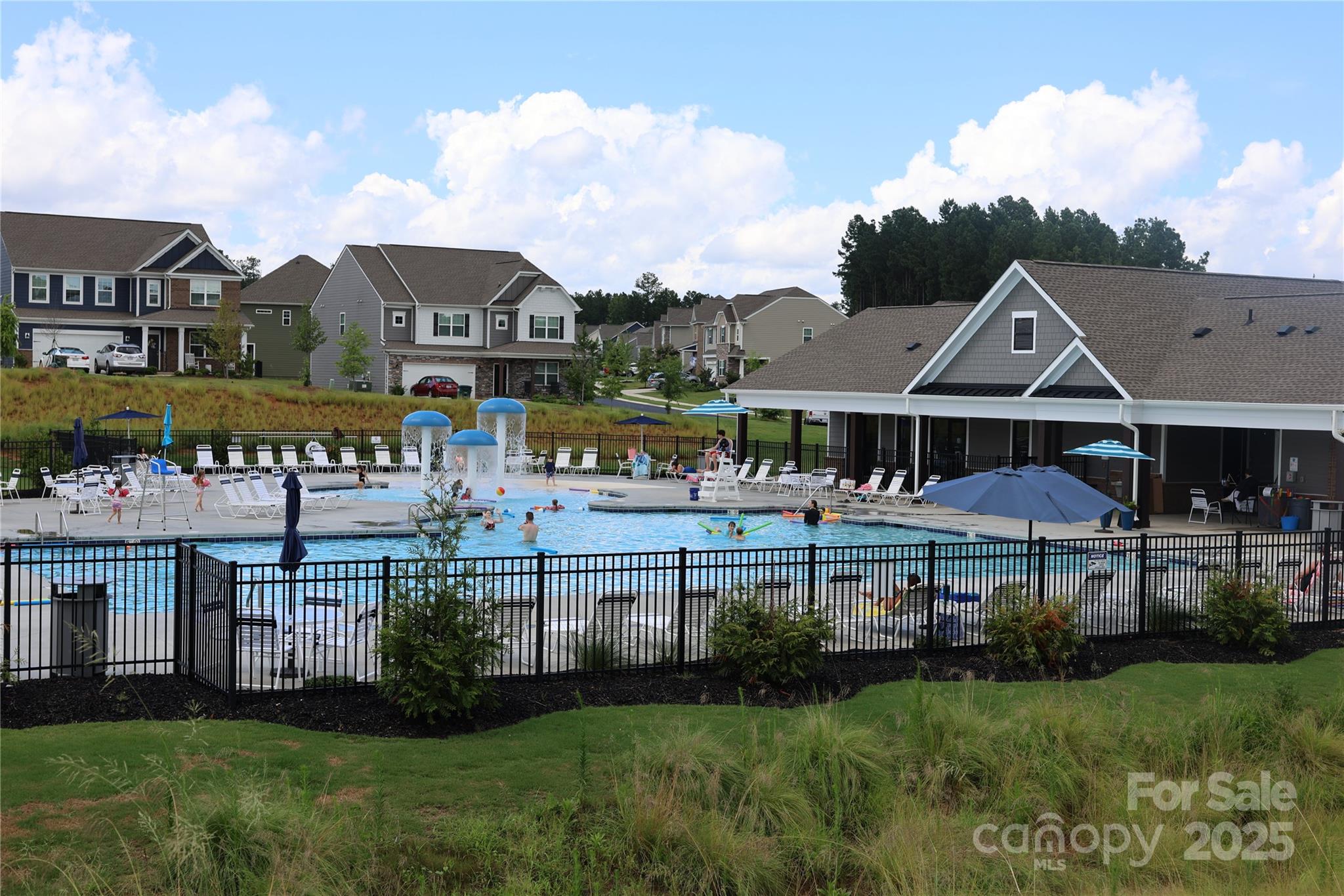 141 Rhuidean Court Troutman, NC 28166 - Photo 29 of 29 a front view of houses with yard