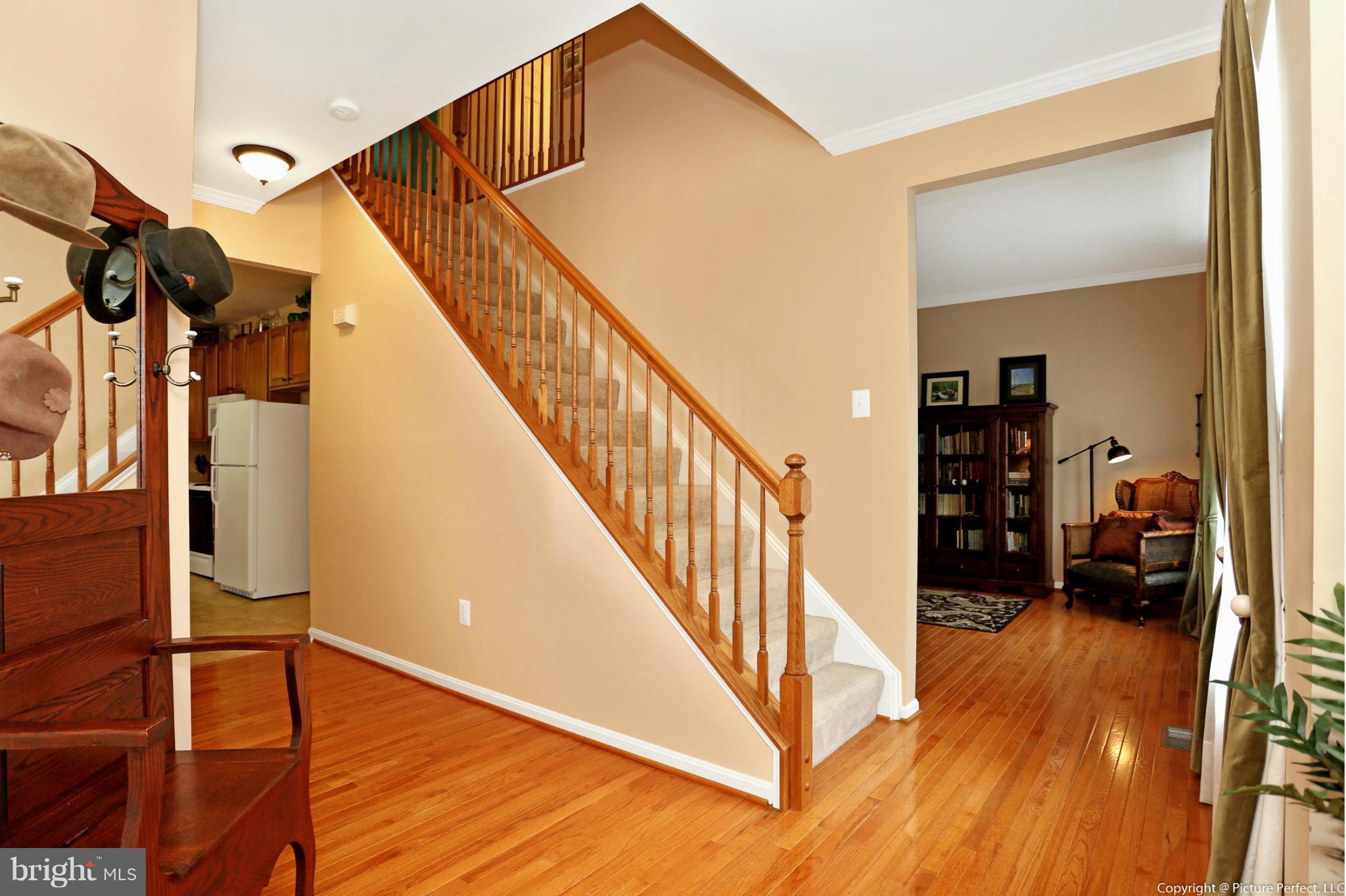 Interior (General)