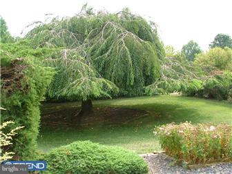 833 Ebert Road Coopersburg, PA 18036 - Photo 12 of 12 Gallery Image 12