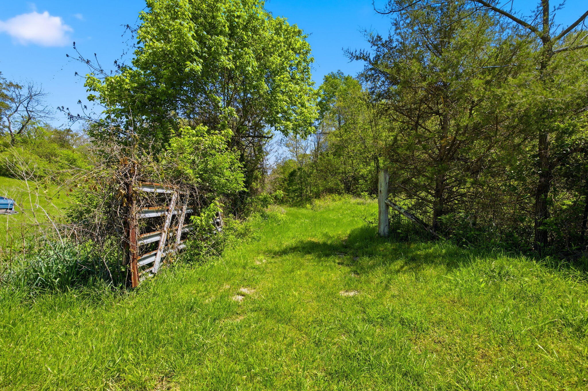 381 North Rays Fork Road Sadieville, KY 40370 - Photo 69 of 77 73-web-or-mls-066NRays Fork