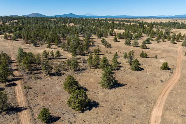 a view of a city with mountains in the background