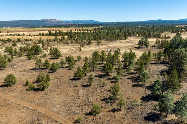 an aerial view of a beach