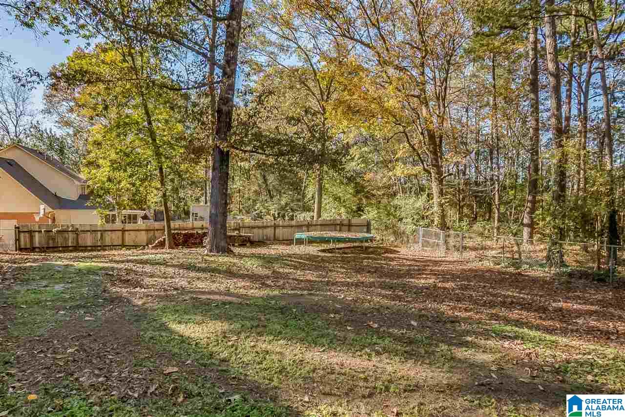 3818 South Shades Crest Road Birmingham, AL 35244 - Photo 43 of 46