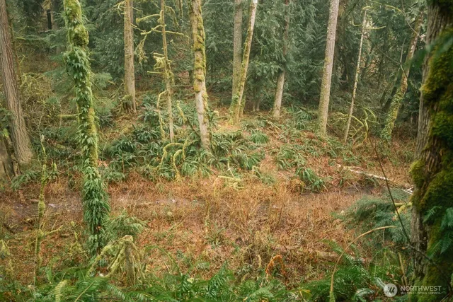 $300,000 | 950 Yew Street, Bellingham, WA 98229