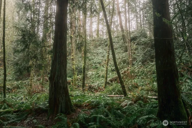 $300,000 | 950 Yew Street, Bellingham, WA 98229