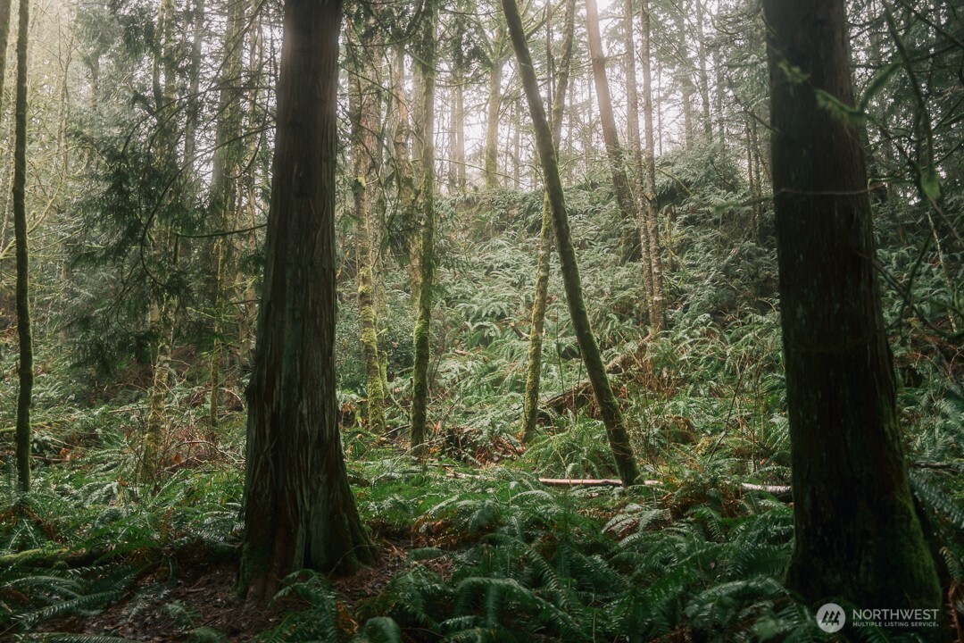 950 Yew Street Bellingham, WA 98229 - Photo 15 of 31