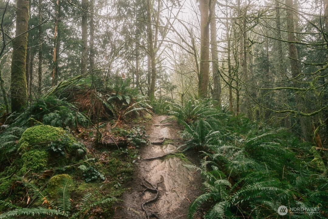 950 Yew Street Bellingham, WA 98229 - Photo 22 of 31