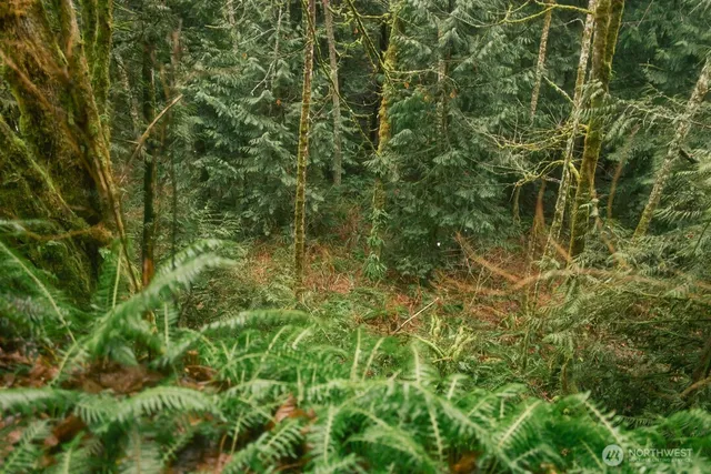 $300,000 | 950 Yew Street, Bellingham, WA 98229