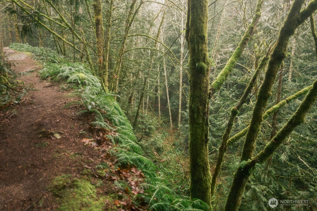 950 Yew Street Bellingham, WA 98229 - Photo 28 of 31