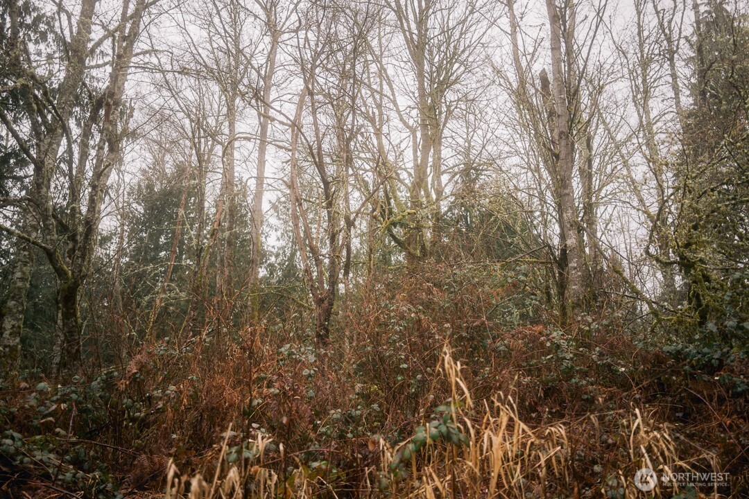 950 Yew Street Bellingham, WA 98229 - Photo 3 of 31