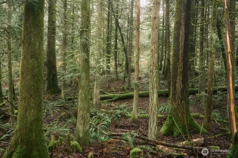 $300,000 | 950 Yew Street, Bellingham, WA 98229