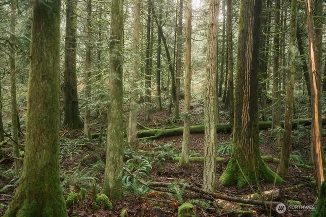 $300,000 | 950 Yew Street, Bellingham, WA 98229