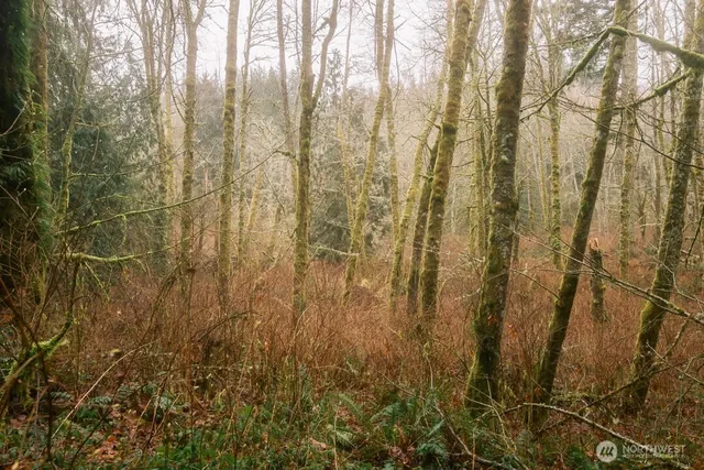 $300,000 | 950 Yew Street, Bellingham, WA 98229