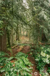 $300,000 | 950 Yew Street, Bellingham, WA 98229