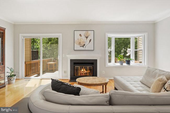 8607 Raglan Road Vienna, VA 22182 - Photo 16 of 43 Living Room w/Wood Burning Fireplace