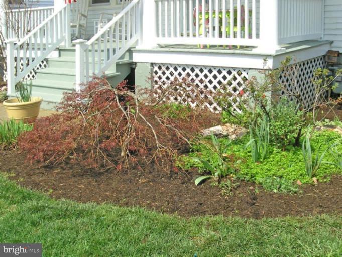 2005 Hanover Street Silver Spring, MD 20910 - Photo 27 of 28 a view of a house with a plant