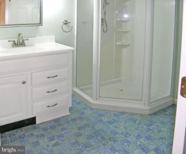2005 Hanover Street Silver Spring, MD 20910 - Photo 7 of 28 a bathroom with a shower sink and mirror