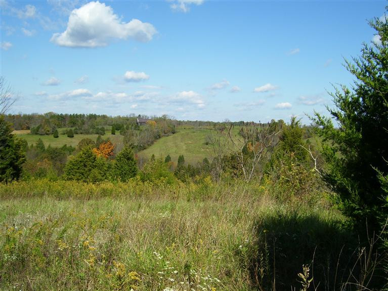 1715 Osborne Road Dry Ridge, KY 41035 - Photo 4 of 13