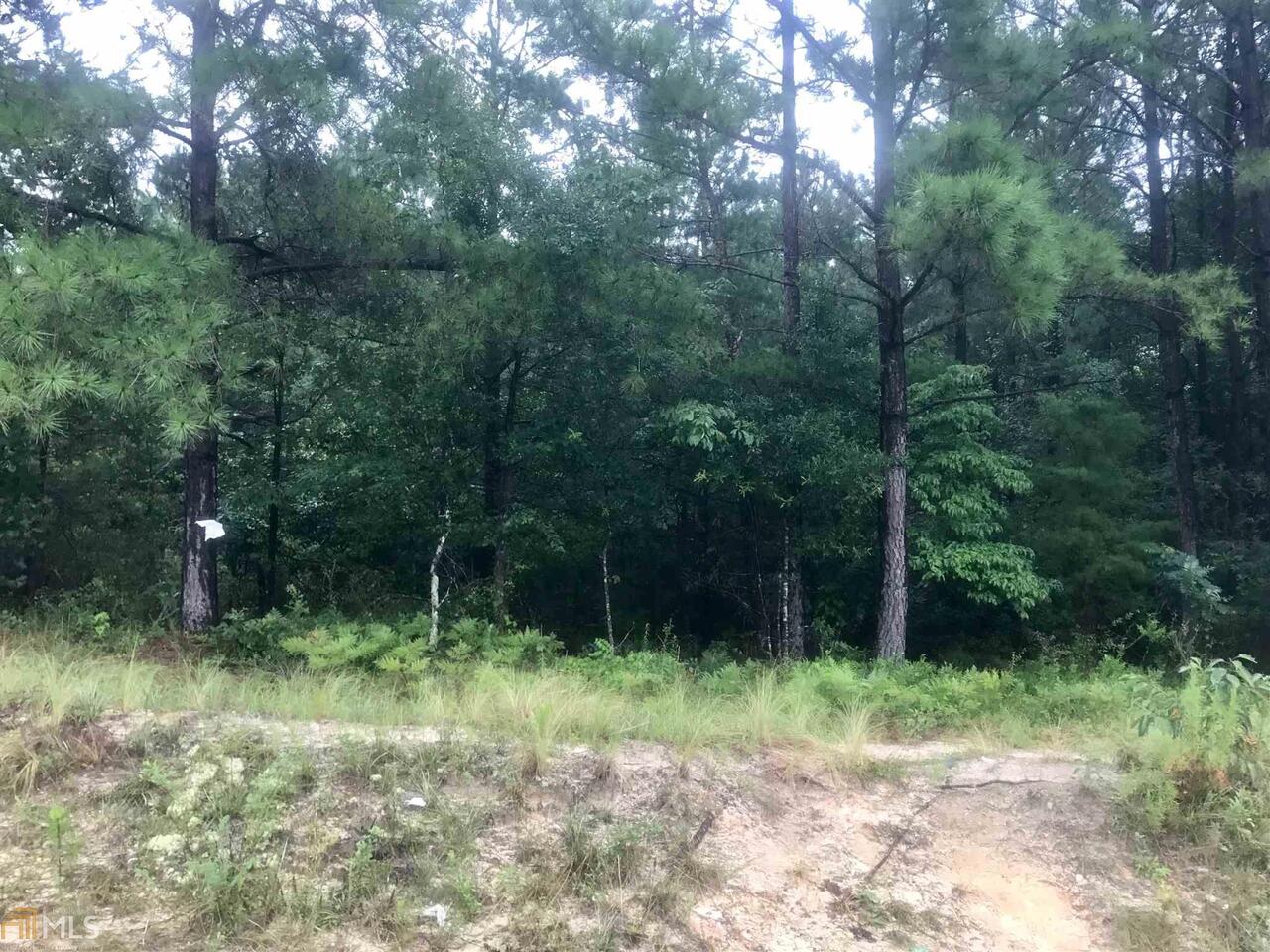 610 Horne Road Roberta, GA 31078 - Photo 1 of 1