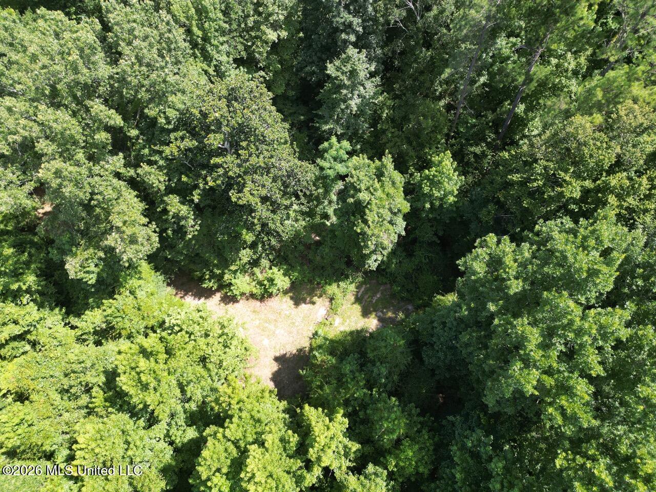 Pam Road Aimwell, LA 71401 - Photo 7 of 38 DJI_0442 Large
