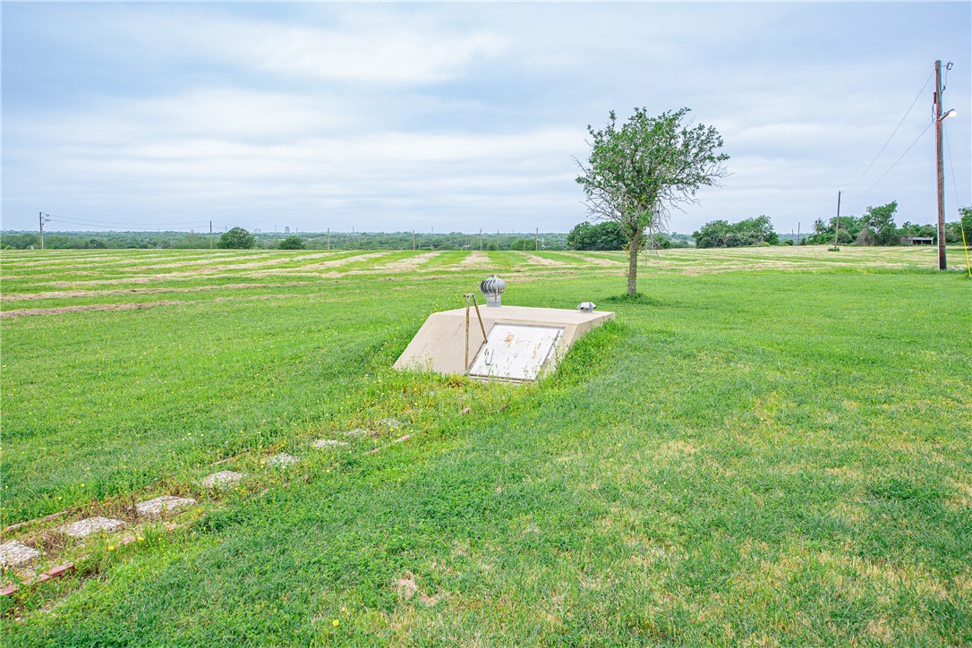 3521 FM 438 Loop Temple, TX 76501 - Photo 5 of 32 a garden with lots of palm trees