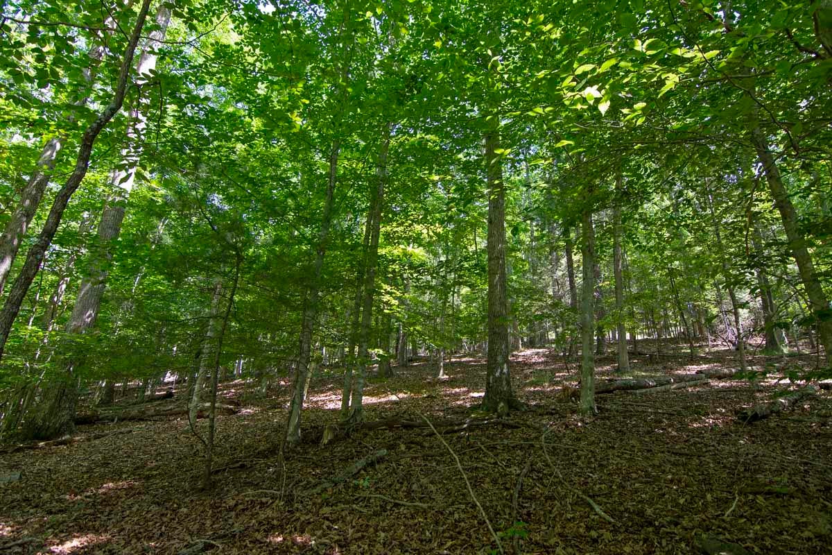 751-771 Lipps Road Lewisburg, WV 24901 - Photo 37 of 43 Gallery Image 37