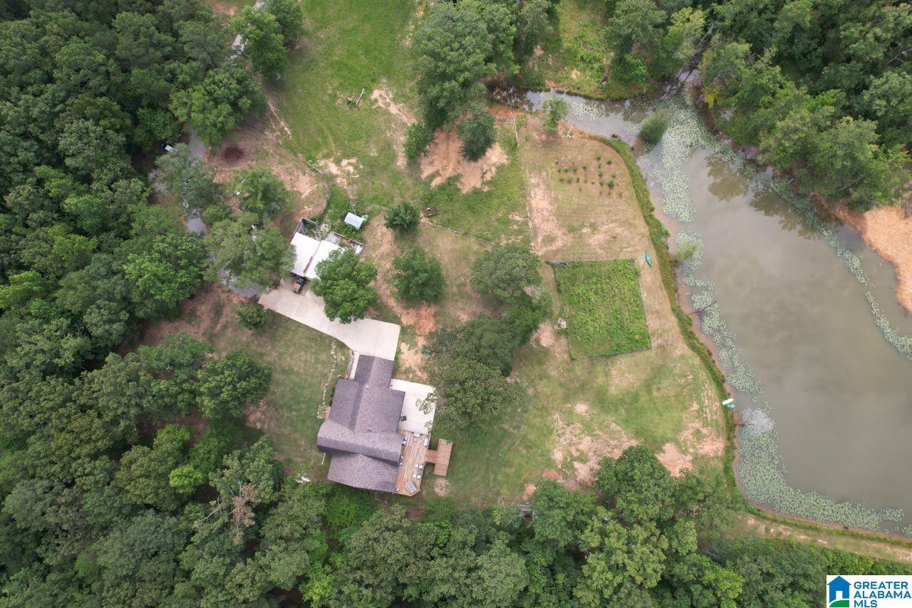 131 Lake Cottage Road Sterrett, AL 35147 - Photo 59 of 64