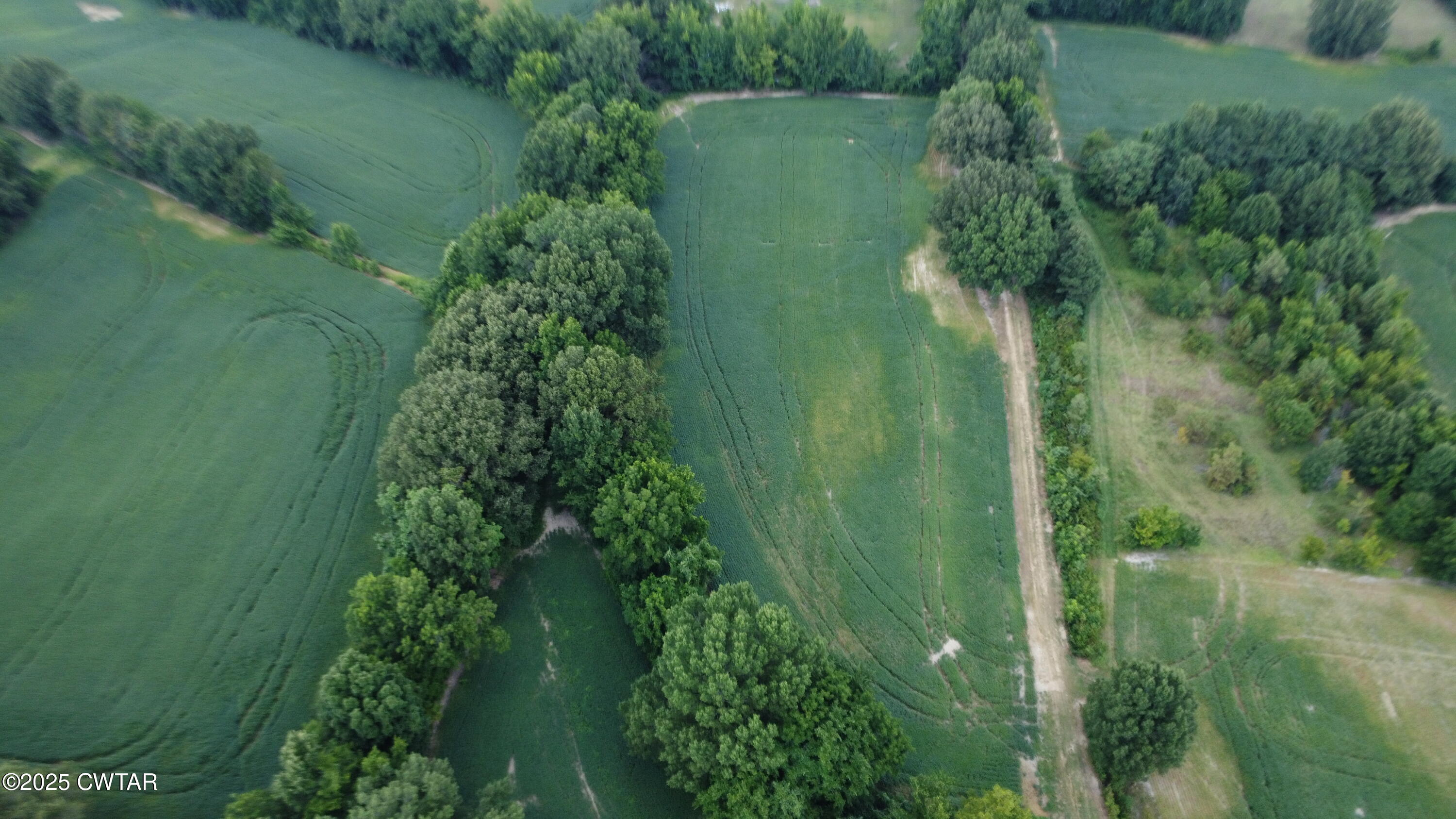 0 Old Dyersburg Road Newbern, TN 38059 - Photo 4 of 8 a view of a garden with a lake