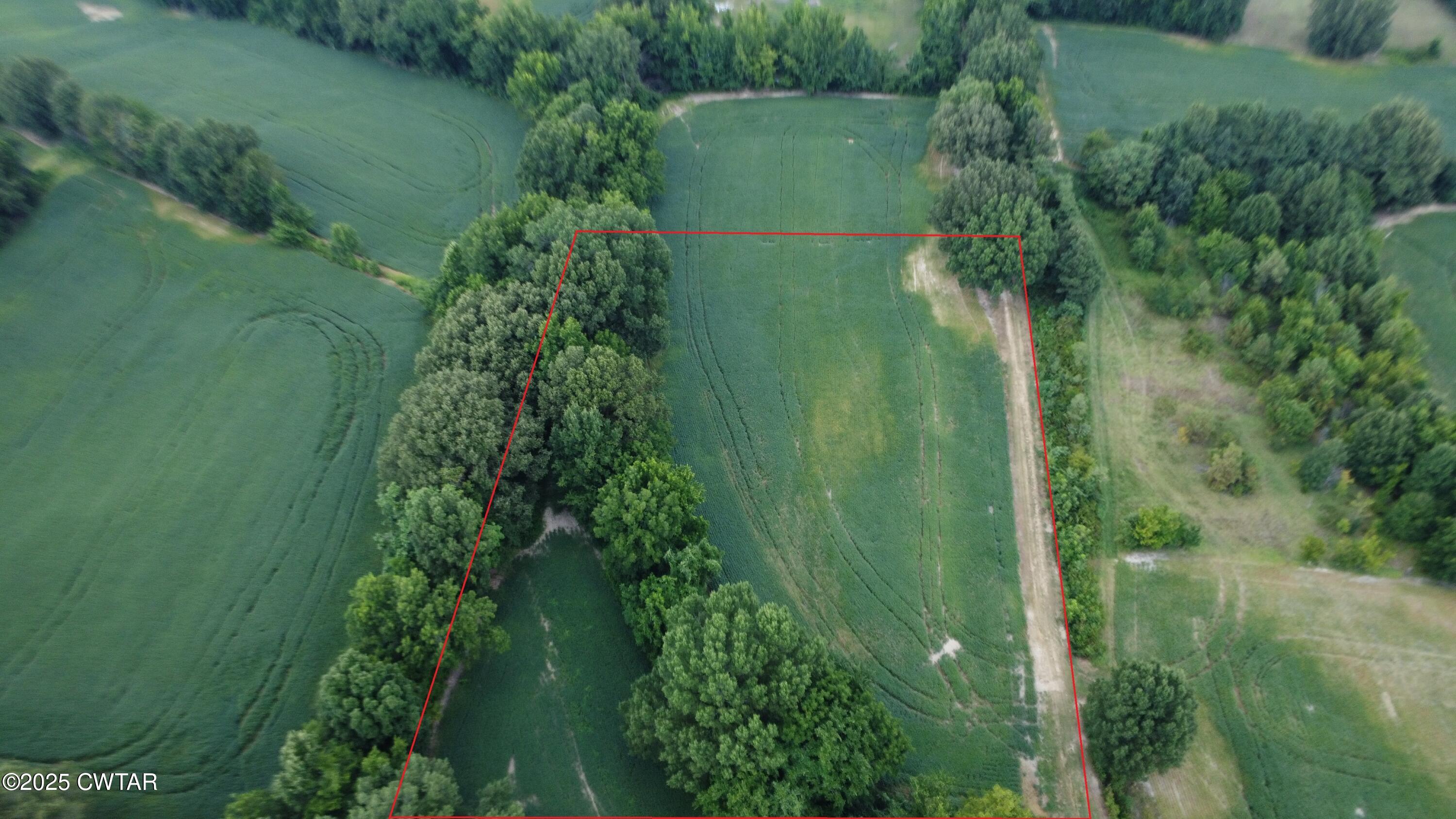 0 Old Dyersburg Road Newbern, TN 38059 - Photo 5 of 8 a plant of a building