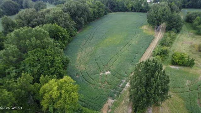 $30,000 | 0 Old Dyersburg Road, Newbern, TN 38059