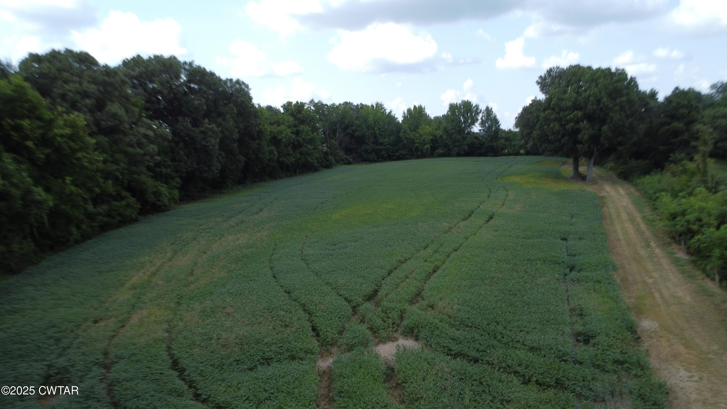 0 Old Dyersburg Road Newbern, TN 38059 - Photo 7 of 8 a view of a field with trees in the background
