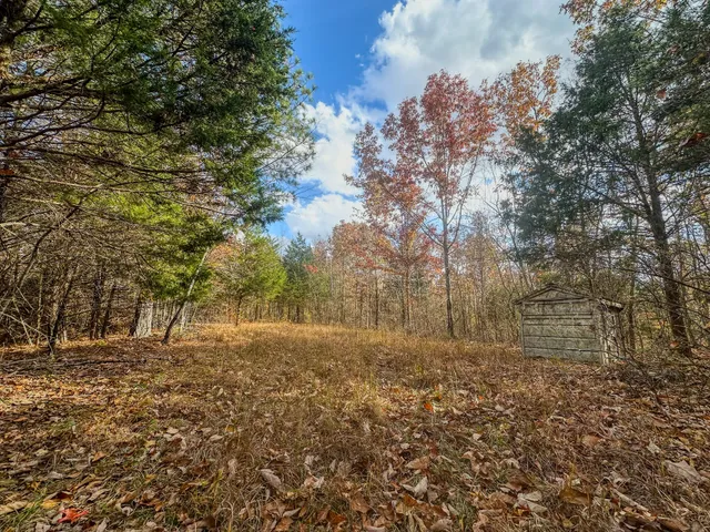 a view of backyard with outdoor space