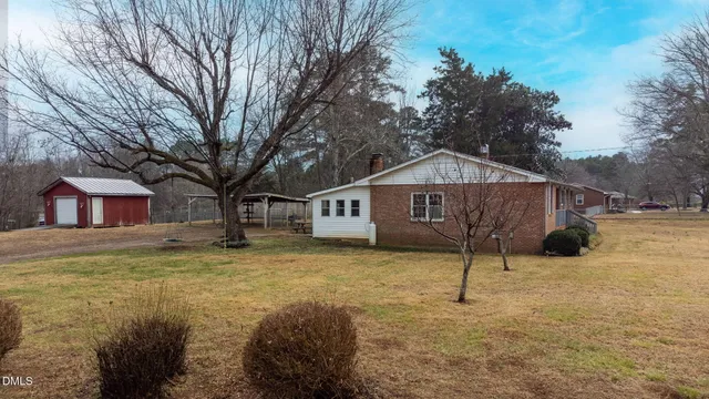 a view of a garden with a tree in front of it
